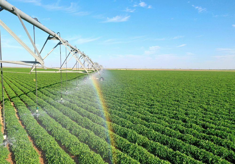 Tarım Sektörü Arıtma Çözümleri